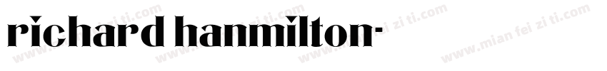 richard hanmilton字体转换